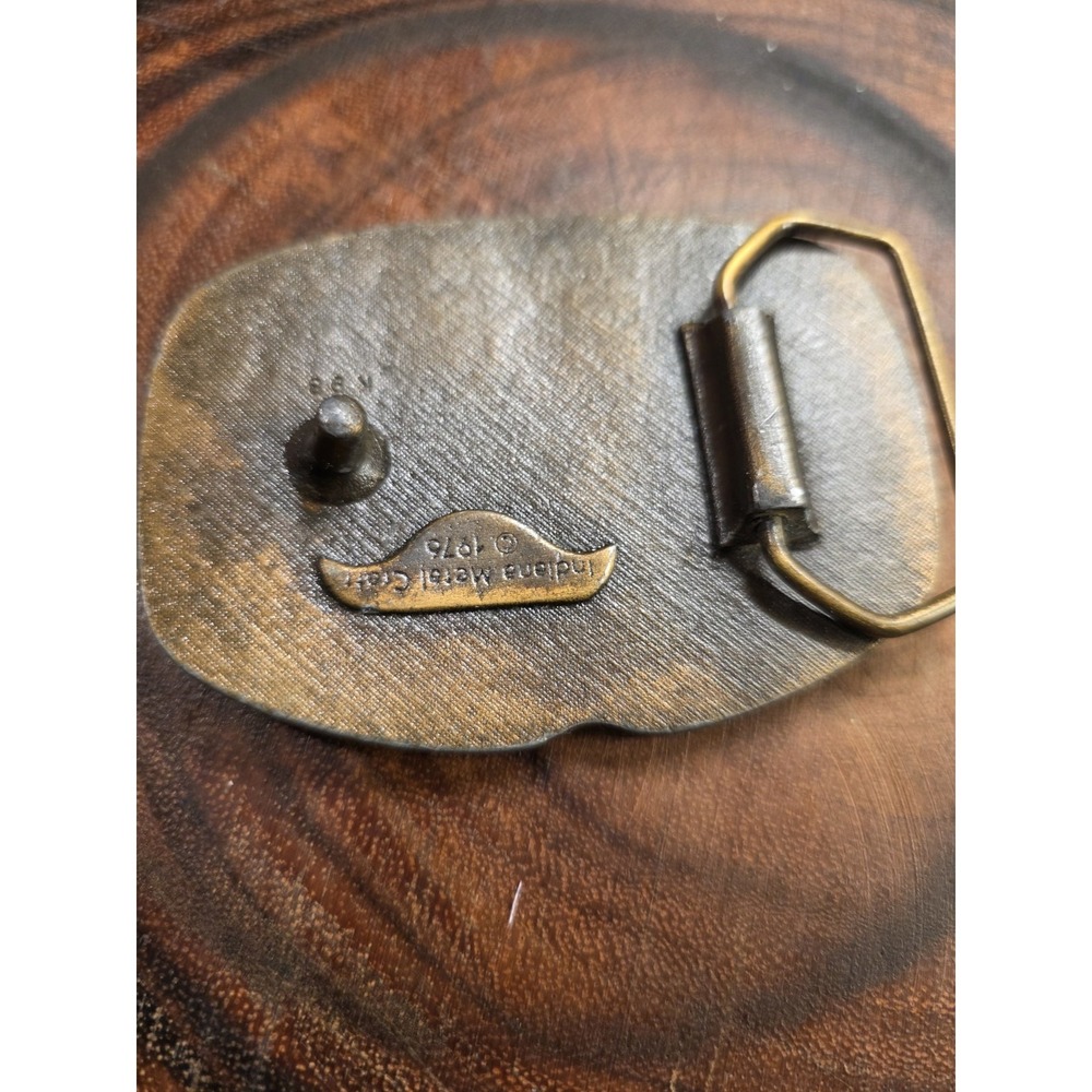 Vintage Belt Buckle - 1976 Country - Picture 5 of 12